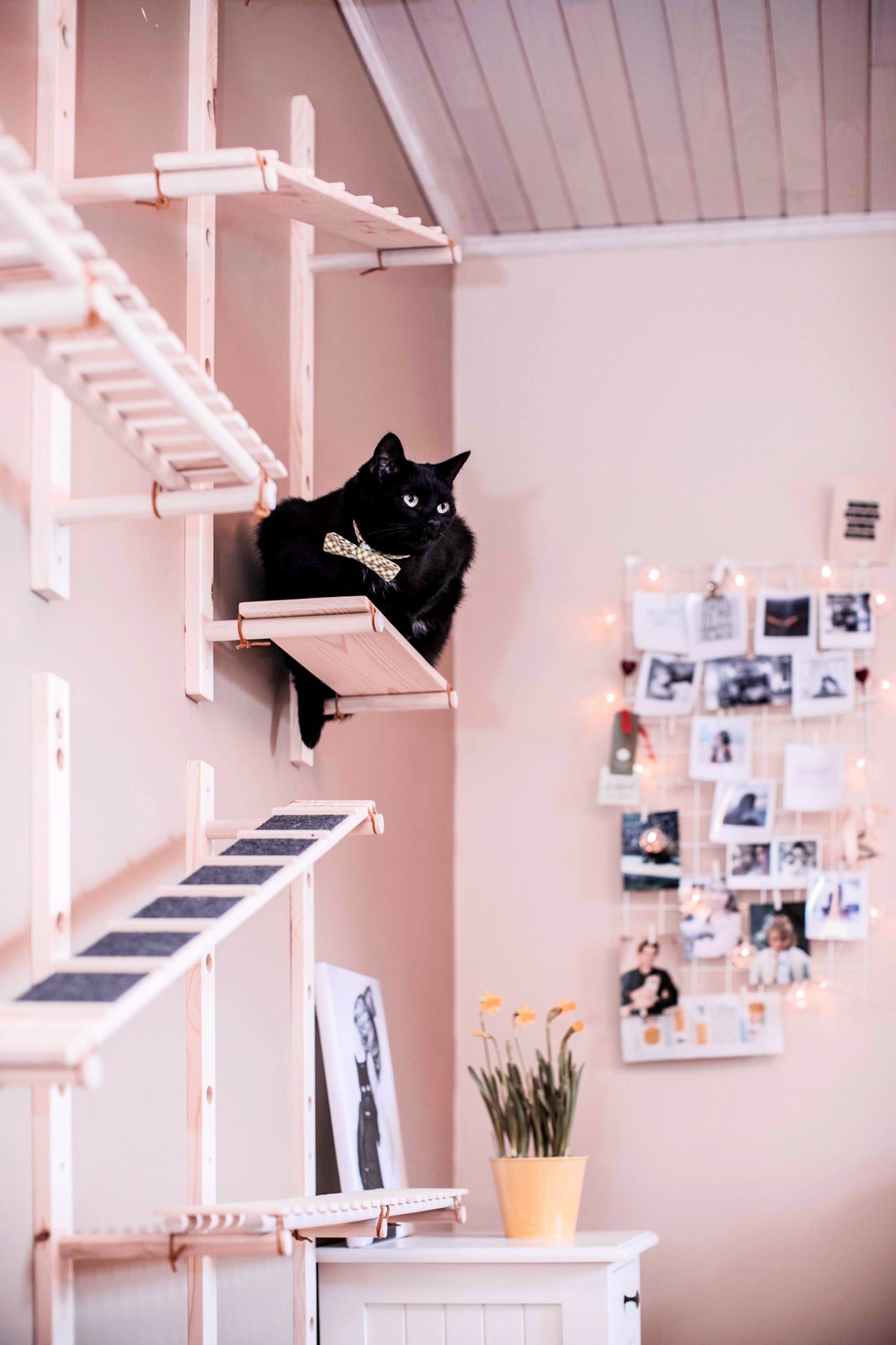 phil-carey-d5jvk31wwjw-unsplash-2